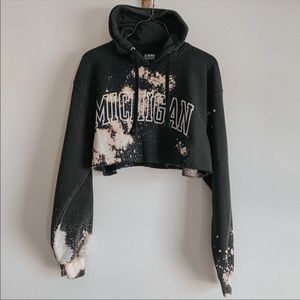 University of Michigan Cropped Hoodie